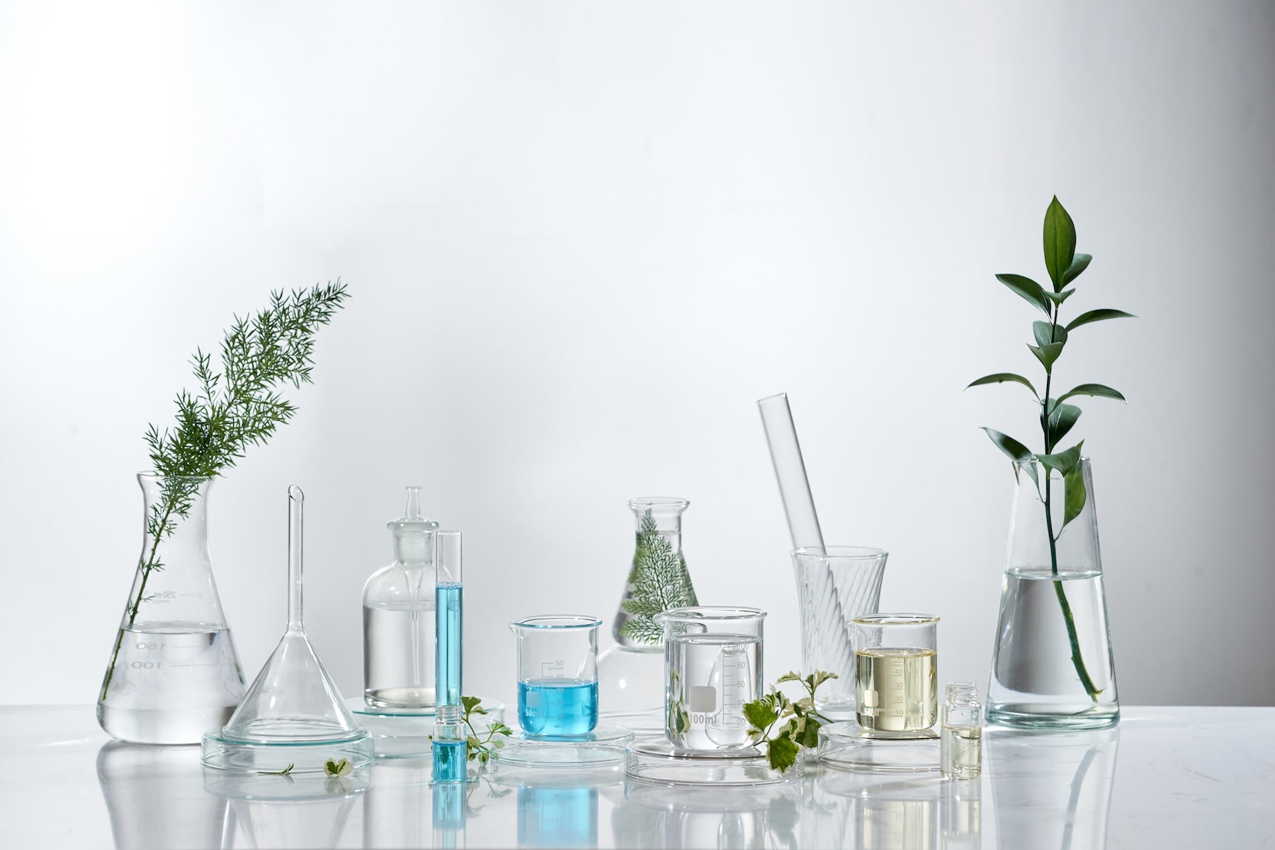 Herbal Safety for Estrogen Positive Cancers