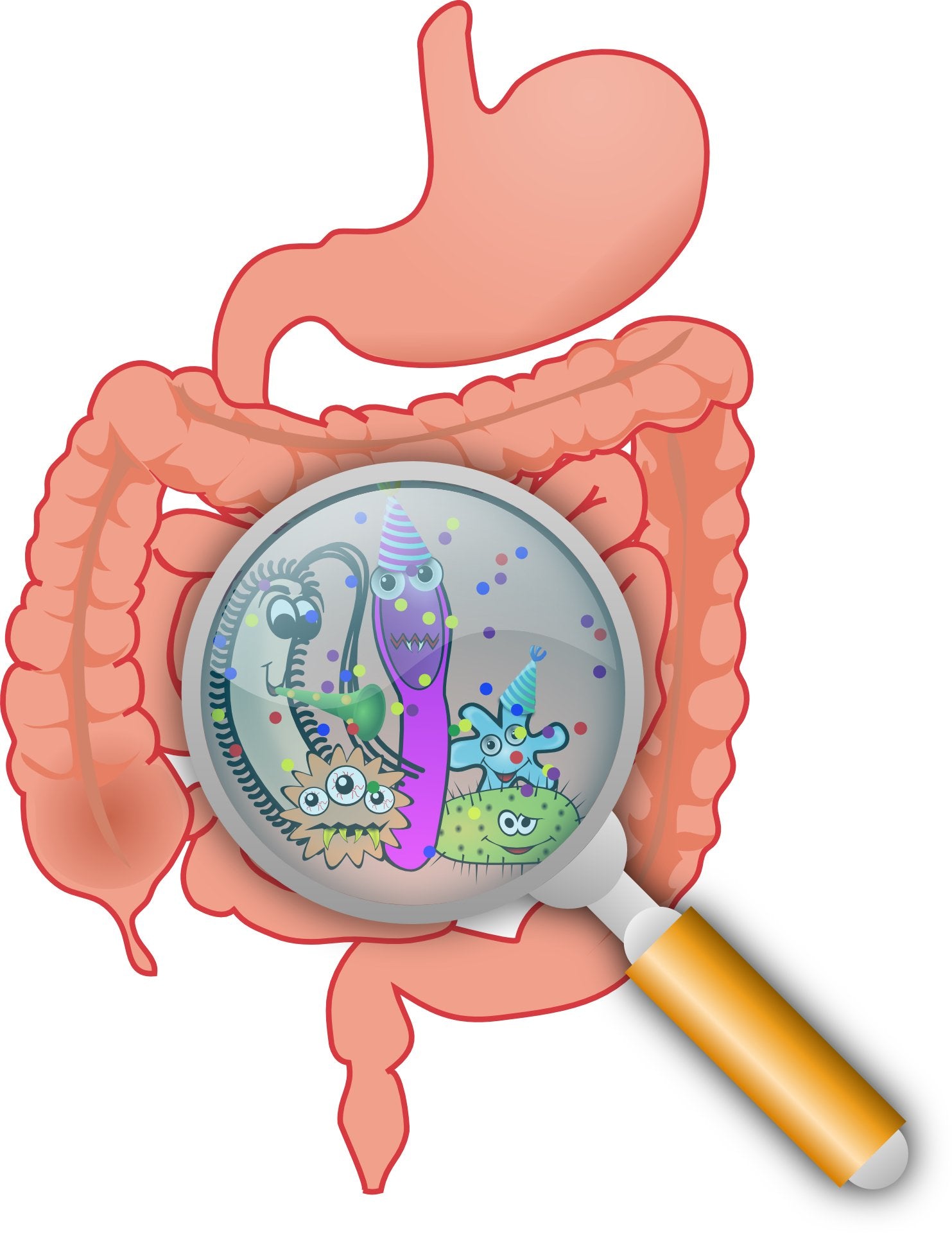 What is SIBO? How to Control It Naturally