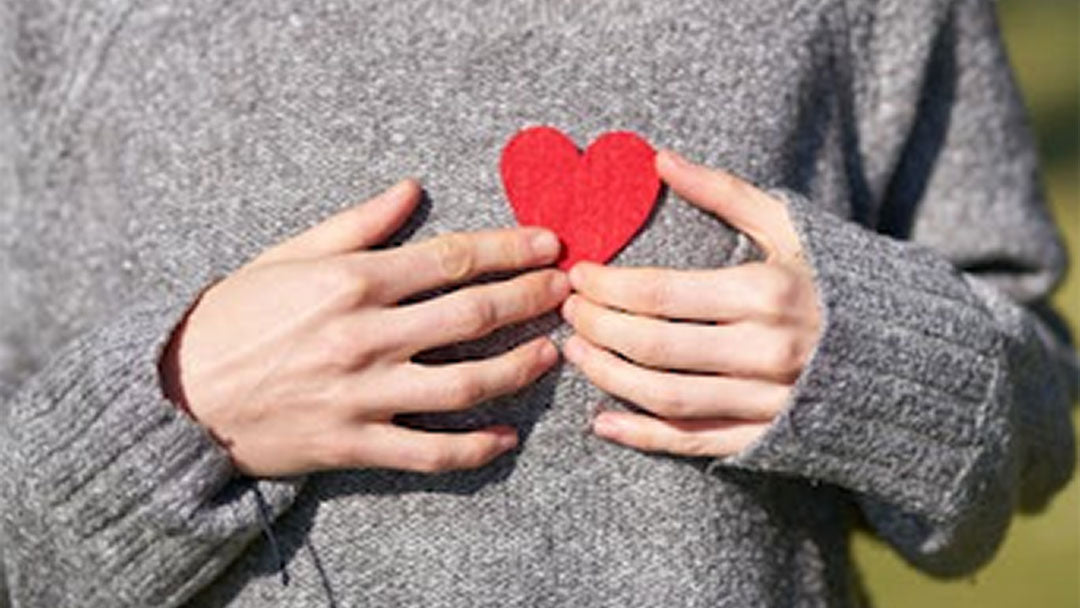 Best Chinese Herbs for Heart Health