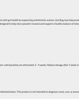 Gut Bug by Panaxea — Broad-Spectrum Herbal Antiparasitic for GI Health and Parasite Elimination