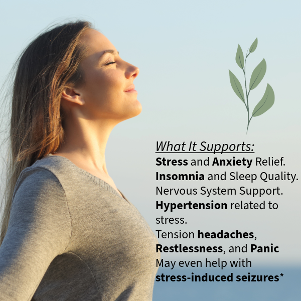 Calm ES | Calm & Clear Formula – Herbal Support for Anxiety, Insomnia, and Stress-Induced Hypertension