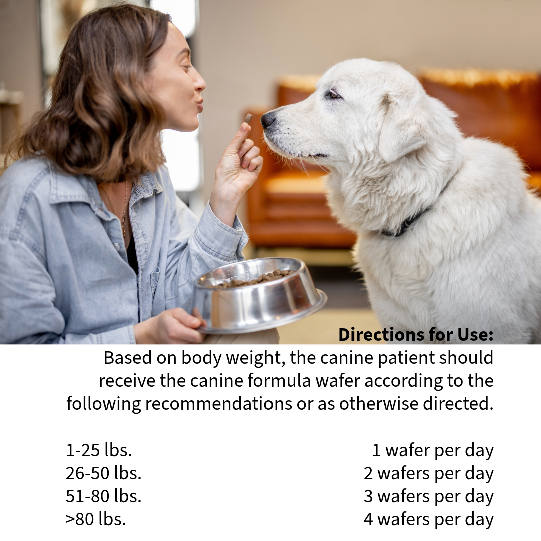 Canine Flex Support – Chewable Joint Health Wafers with Glucosamine, Chondroitin for Dogs