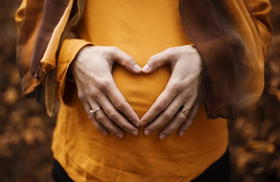 The Best Chinese Herbs for Fertility Success
