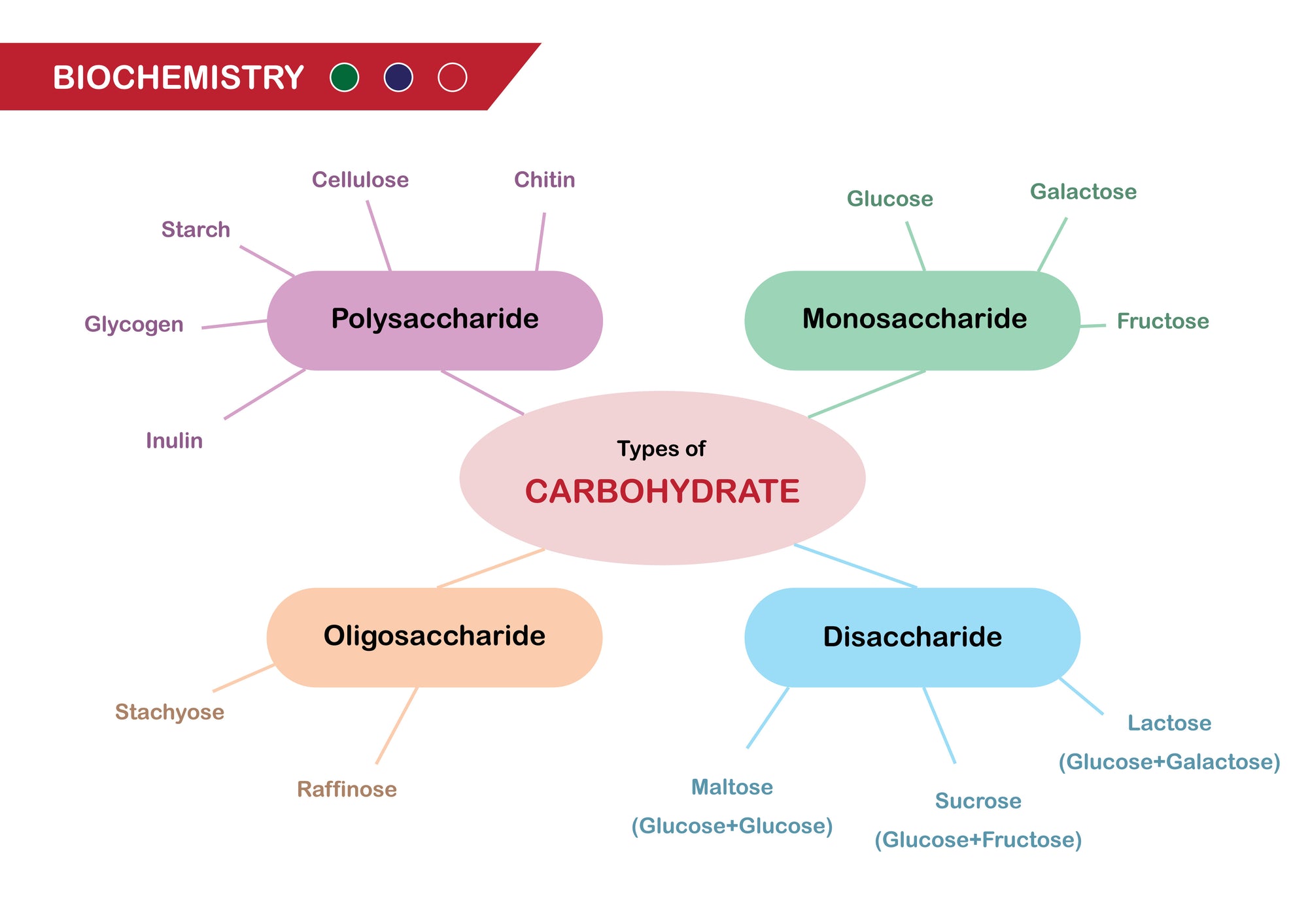 Free SIBO FODMAP Guide