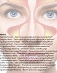 Sinus & Allergy Relief Formula – Fast-Acting Herbal Support for Congestion & Inflammation