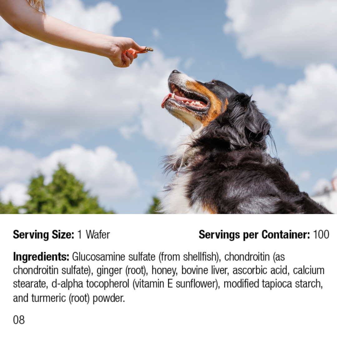 Canine Flex Support – Chewable Joint Health Wafers with Glucosamine, Chondroitin for Dogs