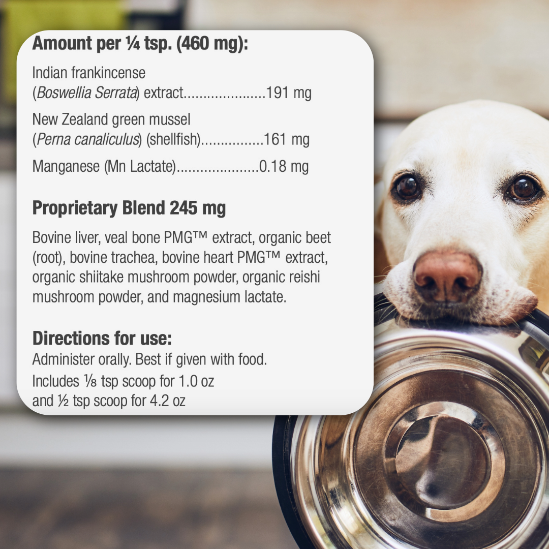Green Lipped Mussel Joint Support for Dogs Musculoskeletal Support by Standard Process